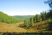 Спускаемся вдоль Есконго к машине